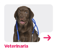 Veterinaria